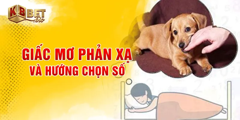 Giấc mơ phản xạ và hướng chọn số