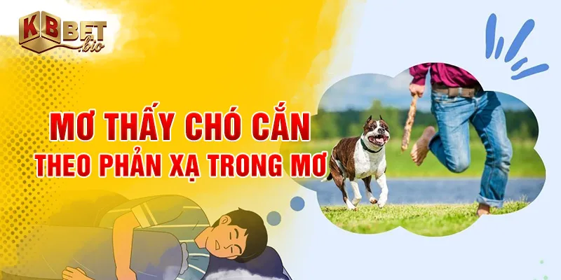 Mơ thấy chó cắn theo phản xạ trong mơ