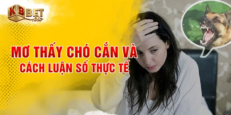Mơ thấy chó cắn và cách luận số thực tế