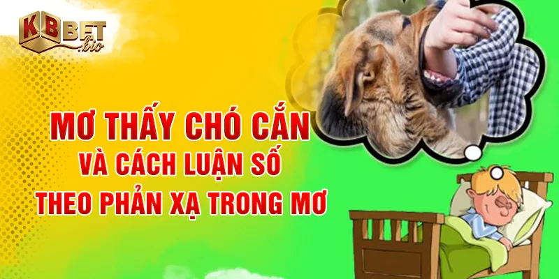 Mơ thấy chó cắn