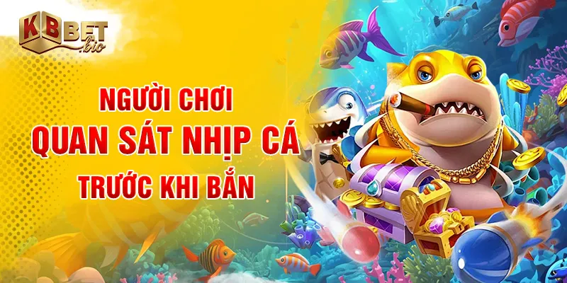 Người chơi quan sát nhịp cá trước khi bắn
