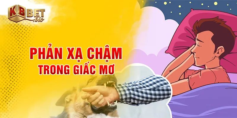 Phản xạ chậm trong giấc mơ